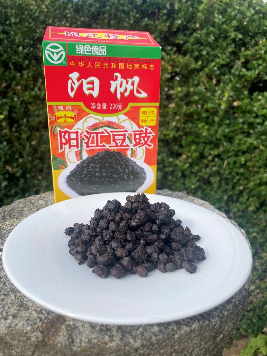 Fermetierte Sojabohnen aus dem Asialaden