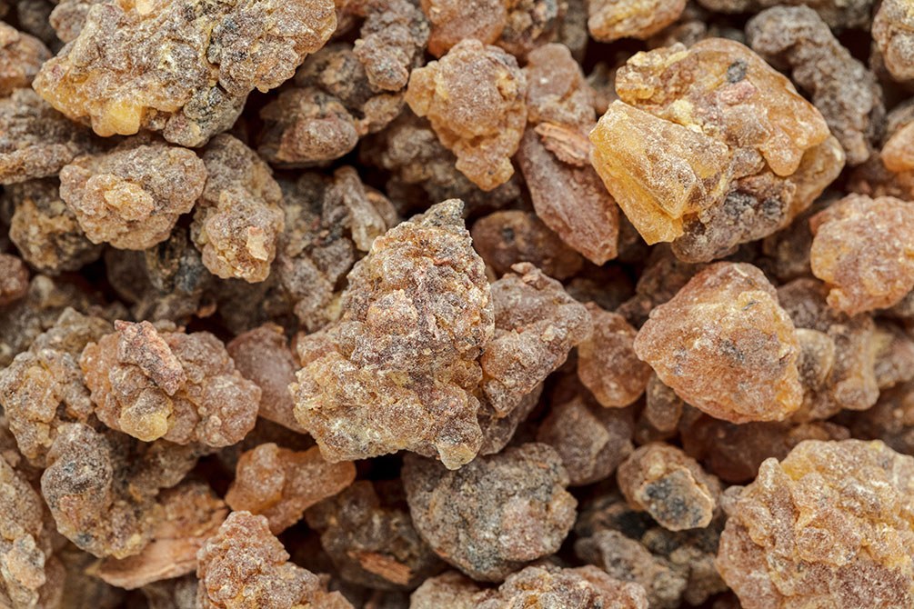 Styrax – auch Benzoeharz genannt. Sowohl in der TCM als auch als Räucherharz im Einsatz