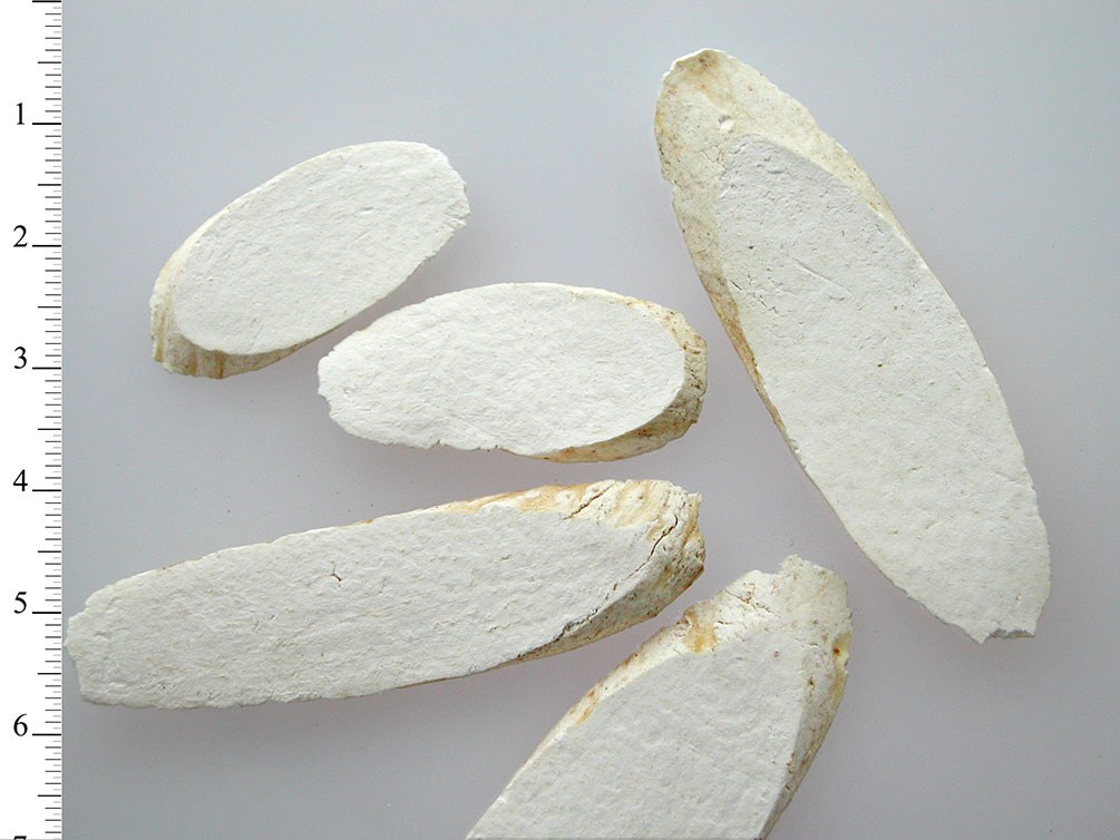 Dioscoreae oppositae rhizoma