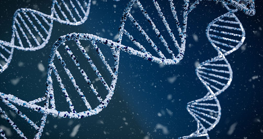 DNA Stränge