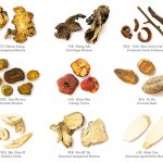 Complemedis kraeuterplakat detail