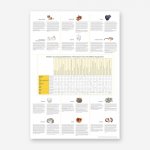 Vitalpilz plakat rueckseite 1000px