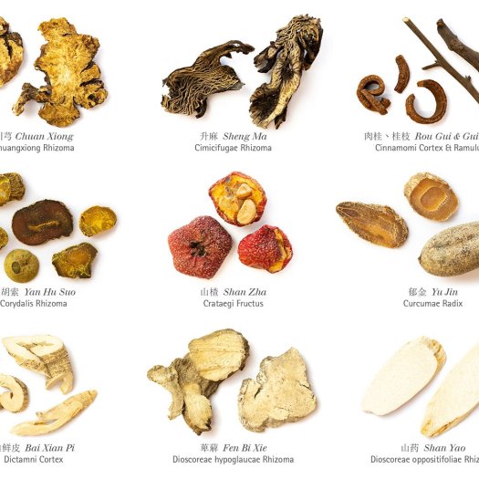 Complemedis kraeuterplakat detail