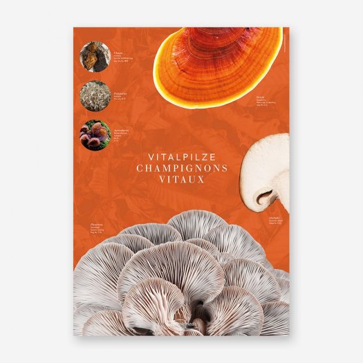 Vitalpilz plakat 1 1000px